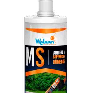MASILLA MAPOLI-WEL MS