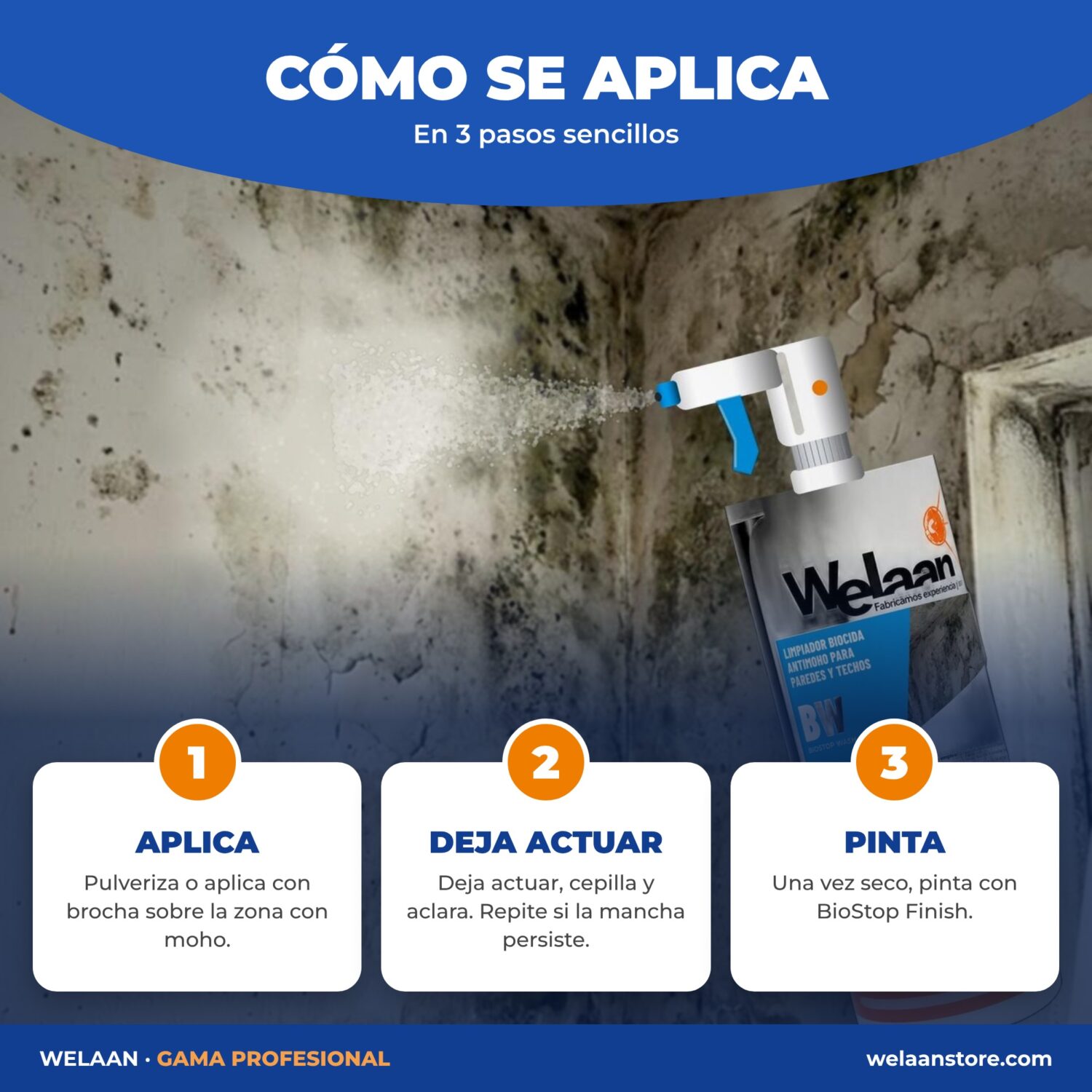 Kit BioStop Antimoho – Limpiador biocida + Pintura anticondensación 5 kg + accesorios - Imagen 4