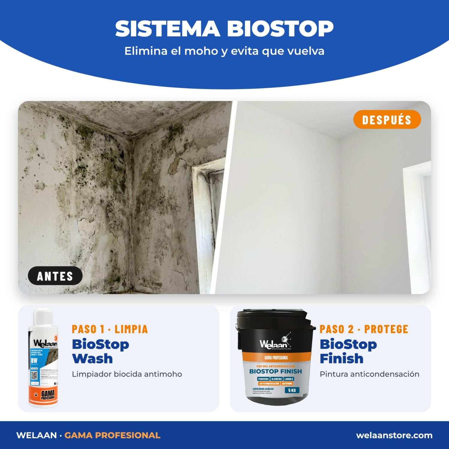 Kit BioStop Antimoho – Limpiador biocida + Pintura anticondensación 5 kg + accesorios - Imagen 3